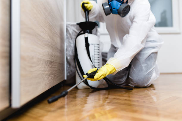 Best Local Pest Control Services  in Parkston, SD