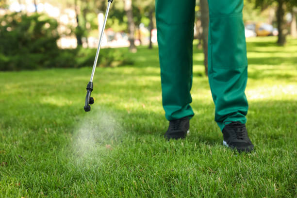 Trusted Parkston, SD Pest Control Experts