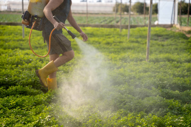 Best Pest Removal Services  in Parkston, SD