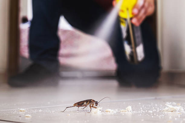 Best Mosquito Control Services  in Parkston, SD