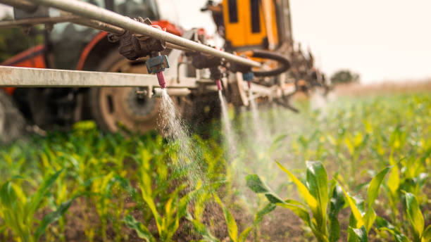 Best Insect Control  in Parkston, SD